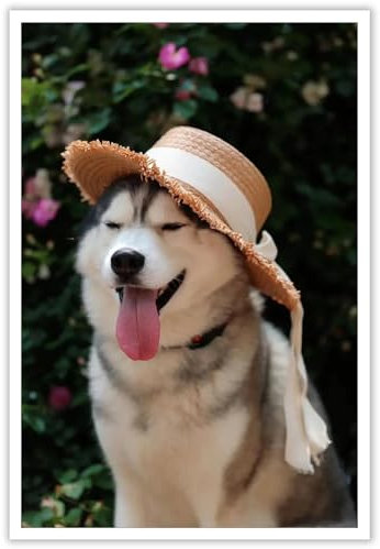 House of French Bulldogs Dogs Playing Poker Poster Decorative Painting Canvas Wall Art Living Room Poster Bedroom Painting 16x24inch(40x60cm)