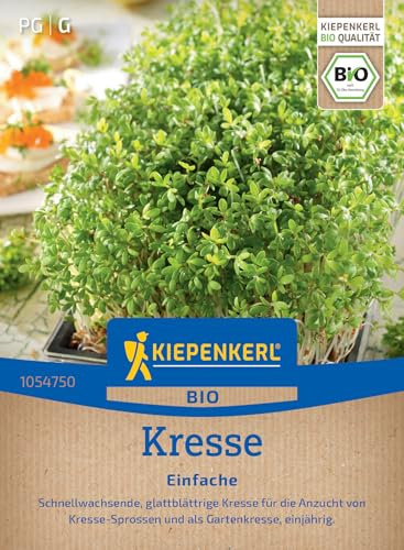Kiepenkerl BIO Kressesamen Einfache 1054750, Kräutersaat | Kresse-Sprossen, Gartenkresse, Inhalt für 3-4 qm, Höhe 8-10 cm