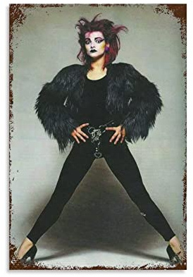 ZZXCHG Kunstwerk Malerei Leinwanddrucke 30x50cm Nina Hagen Poster Decorazione Soggiorno Camera da letto Pittura Senza Cornice