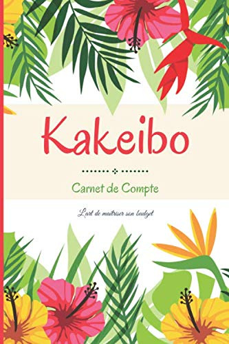 Kakeibo carnet de compte: Nouvelle version - agenda pour tenir son budget mois par mois - non daté