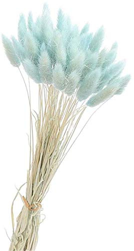 Yeehliny Pflanzenstiele, ländlicher Stil, Hasenschwanz Trockenblumen Deko ewig haltbar Pampasgras & getrocknete Blumen Pampasgras Trockenblumenstrauß Vase Deko,50 Stück (Hellblau)