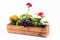 Atgreen Holz Blumenkasten mit Selbstbewässerungseinsatz Pflanztopf Blumen Pflanzen Blumentopf Pflanzgefäß Pflanzkasten Balkonkasten Balkontopf Bewässerungskasten, 55 cm