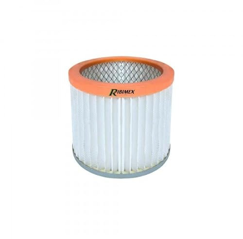 Ribimex PRASP/HEPAIT Filtro Hepa per aspirapolveri, Multicolore