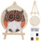 WEBEEDY Cute Owl String Art Kit Craft Graduation Decor Gift DIY Nail String Art Kit for Beginner Winding Lines Painting Projects Christmas Ornaments Home Wall Decorations