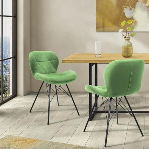 ML-Design Lot 2X Chaises de Salle à Manger Vert Clair (Sauge), Style Moderne, Dossier/Accoudoirs Rembourrée Aspect Velours, Pieds en Métal Noir, Chaise Ergonomique de Table à Manger, Fauteuil Salon