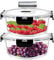 IUGHN 2pcs Glass Containers With Lids, 620ml Meal Prep Containers Glass, Borosilicate Glass Food Storage Containers+1 Cleaning Sponge, Food Containers, for Kitchen Containers With Lids for Storage