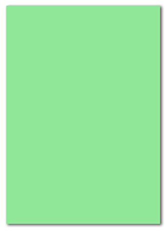 100x DIN A4 Papier - Pastell-Grün - 110 g/m² - 21 x 29,7 cm - Bastelbogen Ton-Papier Fotopapier Bastel-Papier Brief-Papier - FarbenFroh