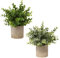 Briful Kunstpflanze Mini Künstliche Pflanze Eukalyptus Rosmarin Kräuter im Topf Deko Badezimmer Schreibtisch Küche Garden Dekoration 2er Set