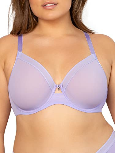 Curvy Couture Women's Sheer Unlined Underwire Plunge Full Coverage Bra, Lavender Mist, 44DD