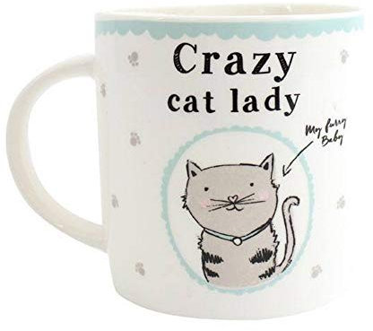 Something Different Crazy Cat Lady Ceramic Boxed Mug (One Size) (Multicolour)