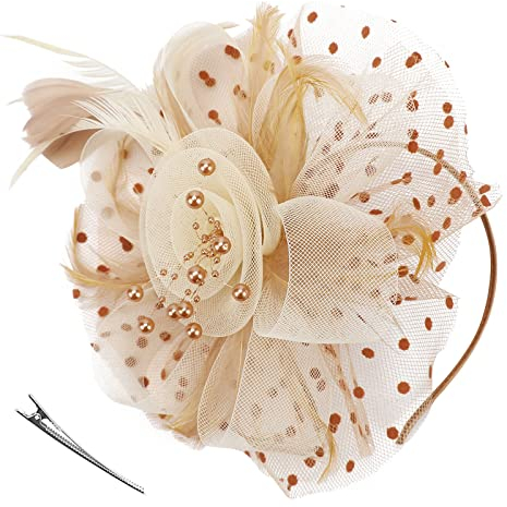 DRESHOW Fascinators Hut Blume Mesh Bänder Federn auf einem Stirnband und Einem Geteilten Clip Cocktail Tea Party Headwear für Mädchen und Damen