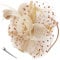 DRESHOW Fascinator Chapeau Plume Mariage Dames Day Bandeau et Clip Cocktail Tea Party Chapeau pour Fille et Femmes