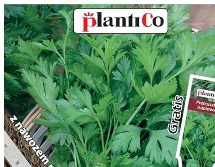 PlantiCo Natalka Persil 5m Bande de graines Graines robustes Graines de légumes Graines de culture Serre Jardin Potager