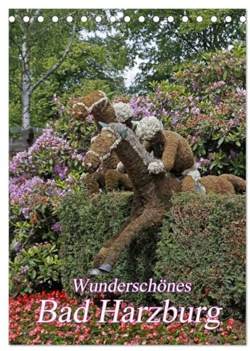 Wunderschönes Bad Harzburg (Tischkalender 2026 DIN A5 hoch), CALVENDO Monatskalender: Bad Harzburg: Die Luchsstadt an der Radau (CALVENDO Orte)