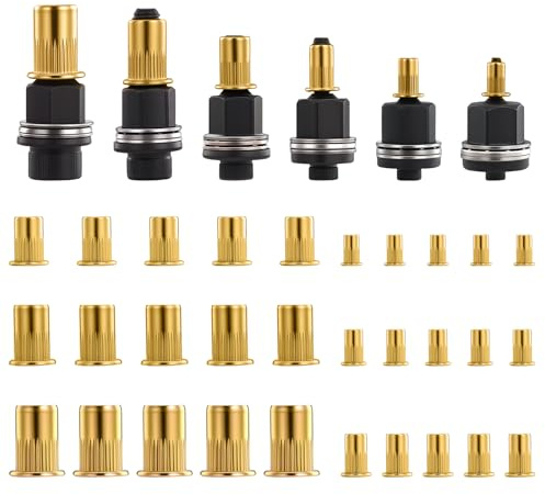 Holtrae 6 Pièces Insert Fileté Metal Pince à Écrous à Riveter M3 M4 M5 M6 M8 M10 avec 60 Pièces Écrous à Tête de Rivet Outil Manuel à Sertir Les Écrous Riveteuse manuelle Pour Espaces Étroits