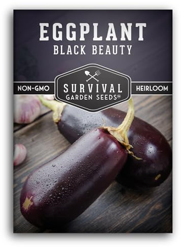 Black Beauty Eggplant Seed for Planting - 1 Packet with Instructions to Grow Purple Aubergine Plants in Your Home Vegetable Garden - Non-GMO Heirloom Variety - Survival Garden Seeds