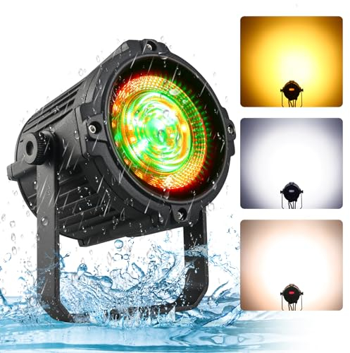 100W Wasserdichte LED Par Lichter COB Scheinwerfer Wasch Licht Warmes Weiß-kühles weißes Bühnenlicht dmx512 Sound aktivierte DJ-Lichter für Weihnachtskirche Hochzeitstheater