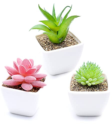 Cisolen 3 Stück Mini Künstliche Sukkulenten mit Topf Pflanzen Set Dekorative Gefälschte Sukkulenten Dekorativen Fälschung Sukkulenten für Haus Büro Schreibtisch Tisch Balkon Deko DIY Geschenk