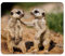 Merchandise for Fans Mauspad/Mouse Pad Textil | Rückseite Kautschuk | rutschfest | 22 x 18 cm |für alle Maustypen |Büro und Gamer| Motiv: Erdmännchen | 01