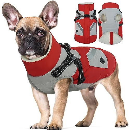 Hjyokuso Wasserdichter Hundemantel, Hundejacke mit Geschirr, Hundejacken für kleine Mittel Große Hunde, Winddichte Haustierkleidung Outfit mit Reflektierender Streifen und Reißverschluss - Rot S