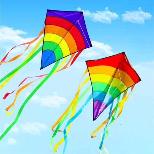 2PCS Kinder-Drachen,Einleiner Flugdrachen für Kinder ab 3 und Erwachsene,140 x75cm Bunt Delta Drachen Kinder,Einleiner-Drachen mit 100m Drachenschnur und 8x75cm Langen Buntem Schwänzen