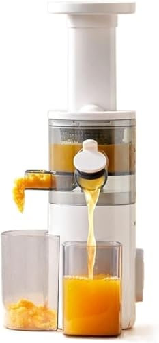SHRGOMPIT Household Small Portable Multifunctional Juicer Garnet Orange Electric Fruit Press Carrot Machine Juice Extractor Cold Slow Home