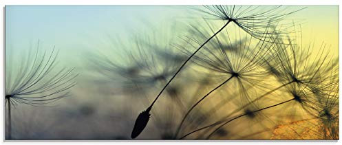 ARTland Wanddeko Glasbilder Wandbild Glas Bild einteilig 125x50 cm Querformat Natur Blumen Pusteblume Sonnenuntergang Himmel Moderne Kunst T5XL