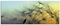 ARTland Wanddeko Glasbilder Wandbild Glas Bild einteilig 125x50 cm Querformat Natur Blumen Pusteblume Sonnenuntergang Himmel Moderne Kunst T5XL