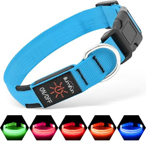 Illumifun LED Dog Collar, USB Rechargeable Light Up Collars Glow-in-the-dark, Pet Safety Lights for Your Dogs Walking Camping at Night (Blue, Small)