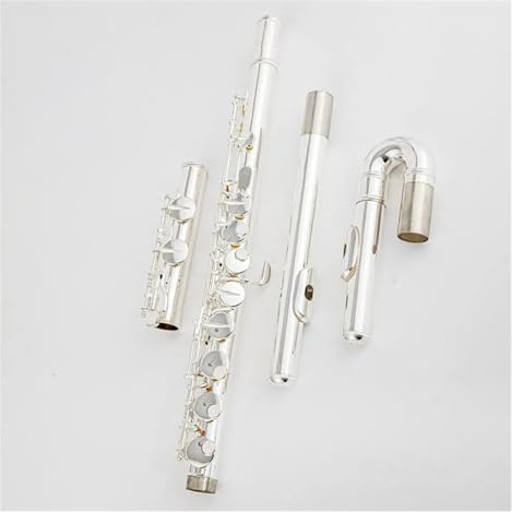 Altflöte, 16 Löcher, Geschlossenes Loch, G-Ton, Versilberte Tasten, Flöte, Musikinstrument Mit Koffer Querflöte kit