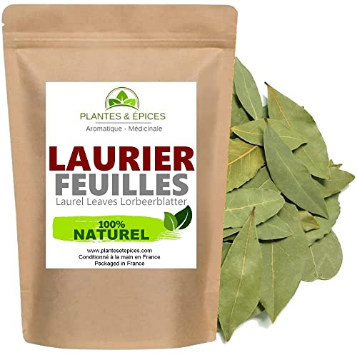 Feuilles de Laurier Entières 100% Naturel - pour Tisane, Infusion, Sauce Cuisine gastronomique - Sachet Fraîcheur Biodégradable Refermable (50g)