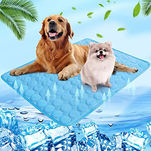 Shujin Kühlmatte Hunde Katzen für Sommer Kühlende Haustiermatte Selbstkühlend Waschbar Kühlpad wasserdichte Kühlkissen rutschfeste Komfortabel Kühlbett(Blau,S (50 * 40 cm))