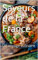 Saveurs de France : Un voyage culinaire (French Edition)