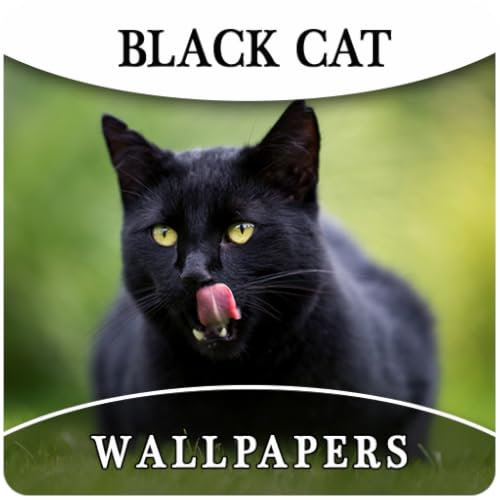 Black Cat Wallpapers And Background