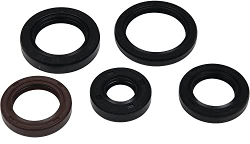 Vertex Gasket 822394 Motoröldichtungssatz kompatibel mit/Ersatz für Polaris Phoenix 200 2005-2021 200 Öldichtungssatz, RZR 170 2009-2020 170 Öldichtungssatz, Sägezahn 200 2006-2007 200 Öldichtungs-Set