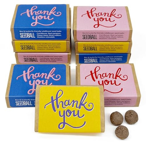 SEEDBALL Thank You Gift Wildflower Seed Bombs (Pack of 9), Eco Friendly British Wild Flower Seed Mix for Bees, Birds & Garden Wildlife, Gardening Gift for Women & Wildlife Supporters - 6 Balls Per Box