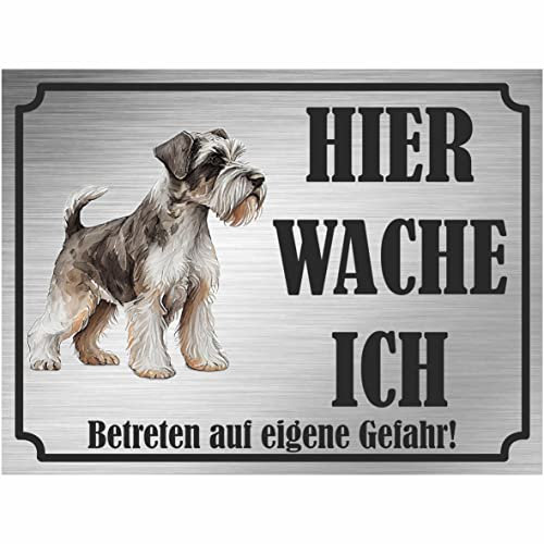 INDIGOS UG - Schnauzer - Schild bedruckt - Hier wache ich - Aluverbundplatte Edelstahl Look - ab 20x15 cm - Spruch - Deko Geschenkidee für Ihren Hund - Zaun - Türschild