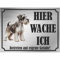 INDIGOS UG - Schnauzer - Schild bedruckt - Hier wache ich - Aluverbundplatte Edelstahl Look - ab 20x15 cm - Spruch - Deko Geschenkidee für Ihren Hund - Zaun - Türschild