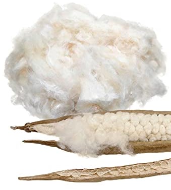 Minky Mooh Kapok Füllmaterial - Vegan, naturbelassen, Füllwatte für Allergiker - Atmungsaktive Kapokfaser, Füllwatte für Stillkissen, Füllwatte für Kuscheltiere - Füllmaterial für Kissen, 1kg