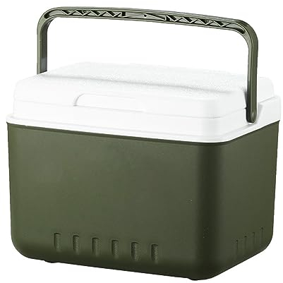 6L Cool Box,Cooler Box,Car Mini Frigo Picnic Frigorifero Portatile Secchiello for il Ghiaccio Compatto Isolato Picnic da Spiaggia e Campeggio Scatola Frigo da Viaggio a Tenuta Stagna
