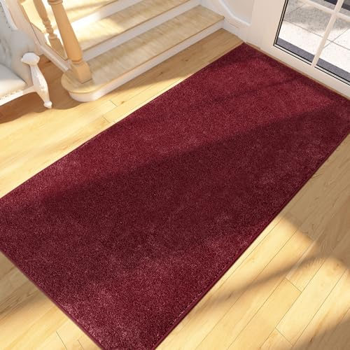 FCSDETAIL Schmutzfangmatte Innen Lang 80 x 178 cm, rutschfeste waschbare Fußmatte, Sauberlaufmatte, absorbierend Türmatte, Fussmatte Läufer Teppich für Hund, Eingang, Haustür, Flur, Küchen, Korridor