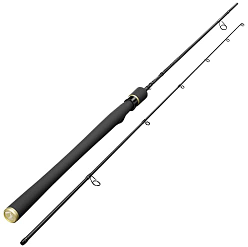 Sportex Curve Spin RS-2 2,4m 15-52g Spinnrute