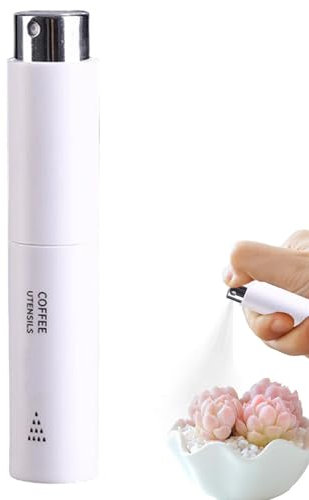Anulely Pulvérisateur de Café 10 ml - Vaporisateur d'Eau RDT Rechargeable - Petite Bouteille Spray - Accessoire de Bar pour Amateurs