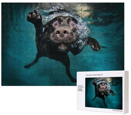 Black Dog In The Swimming Pool 300 piece jigsaw puzzles, For Kids Age 9 Years Up Educational Toys-300 Pieces 28X40cm