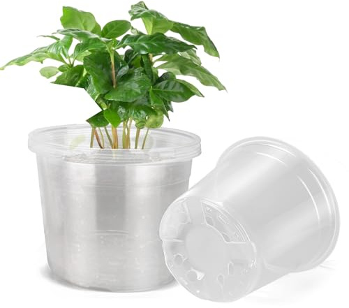 DUNPUTE 25,4 cm große, transparente Pflanztöpfe mit Drainage, 5 Stück Kunststofftöpfe für Pflanzen, ideale Sämling-Töpfe und Pflanztöpfe für Gemüse, Orchideen, Aloe, Innen- und Außenbereich (25,4 cm