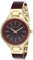 Anne Klein Women's Premium Crystal Accented Resin Bangle Watch Burgundy/Gold