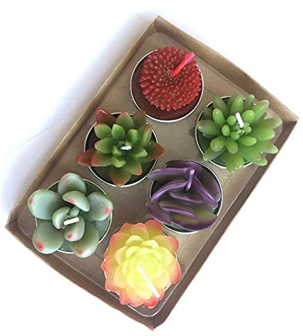 YanSheng Sukkulenten Kaktus Teelichter ohne Duft, 6 Stück sortiert, für Geburtstagsparty, Gastgeschenke, Hochzeitsdekoration, Geschenksets
