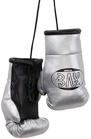 BAY® MINI Boxhandschuhe Paar (Silber)