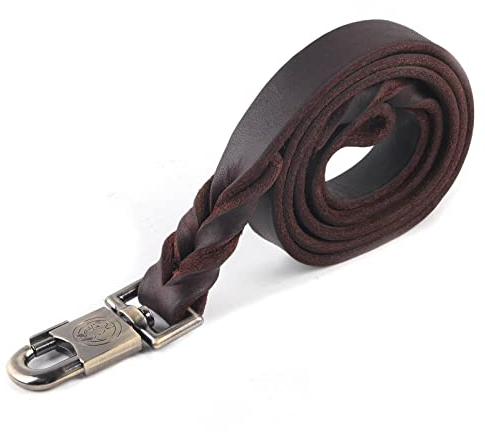 Leder Hundeleine Hundeführleine Lederleine Hund Weiches Leder Hundehalsband & Leine in geflochtenen Hundetrainingsleine 2,5 cm Breite Haustierkette(2.5 x 120cm)