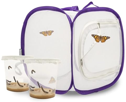 Kit de culture de papillons pour enfants/adultes | Idéal pour la maison | Cultiver des papillons à la maison avec [garantie de succès] | E-book et matériel d'apprentissage gratuits | Élevage de